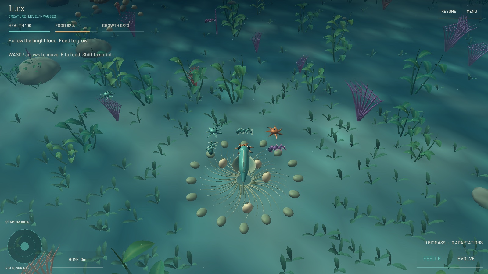 An aquatic creature explores an underwater homeworld filled with marine plants and other life. Development screenshot.